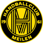 Albis Foxes Handball 49 Logo