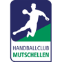 Albis Foxes Handball 12 Logo