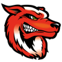 Albis Foxes Handball 112 Logo
