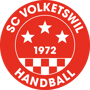 Albis Foxes Handball 90 Logo