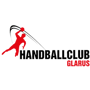 Albis Foxes Handball 48 Logo