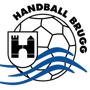Albis Foxes Handball 113 Logo