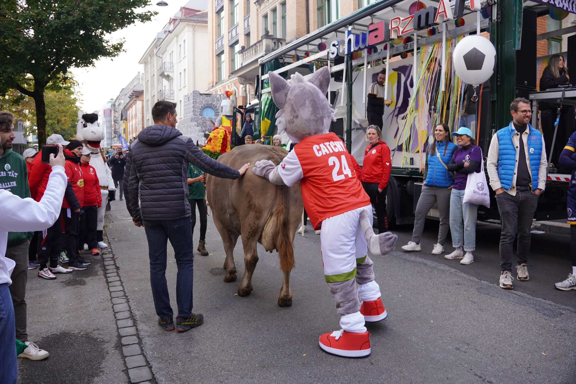 Catchy hilft an der Olma auch beim Kühe-Treiben